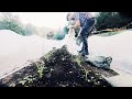 BUGS Destroy My Garden Despite My Best Effort