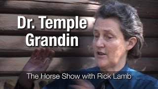 Dr. Temple Grandin on how horses think