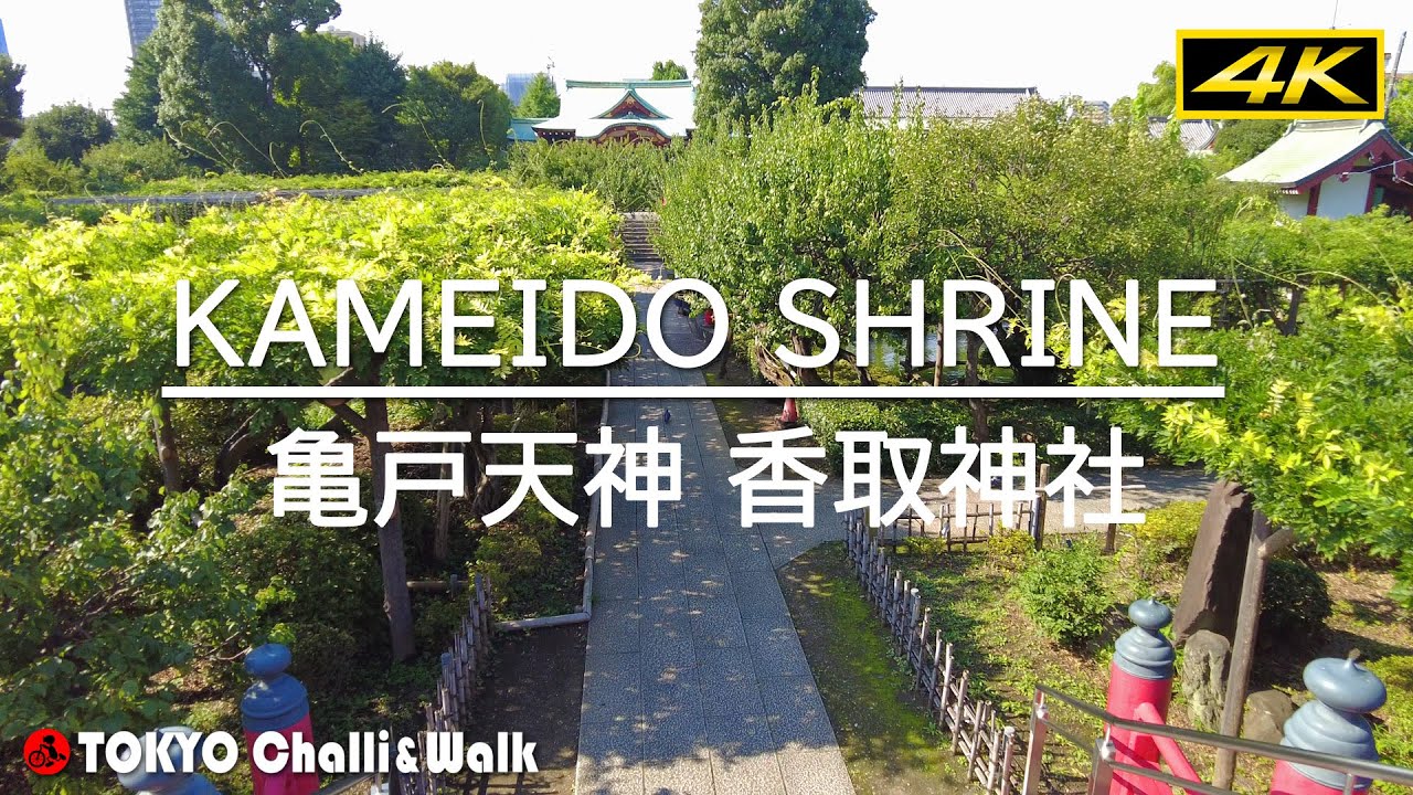 【4K】KAMEIDO Walking 亀戸天神,香取神社 亀戸散歩