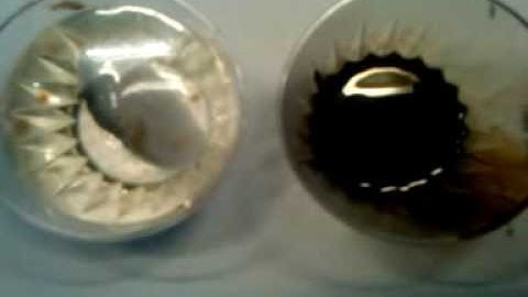 Cotton test, clip #3, 100611.1