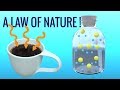 Unraveling The Second Law Of Thermodynamics Through Real-World Applications