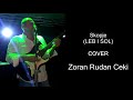 Skopje - Zoran Rudan Ceki (COVER)