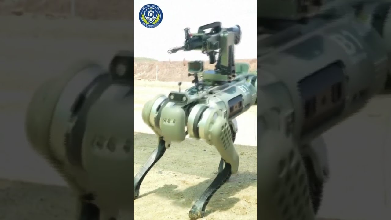 China S Military Unveils Robot Dogs Armed With Rifles