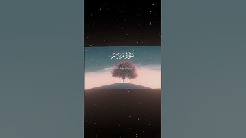 سورة مريم|66-69|القارئ:#محمد_اللحيدان #قران #quran #راحة_نفسية #قران_كريم #تلاوة_هادئة #تلاوة_خاشعة