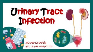 Urinary Tract Infection - Overview (signs and symptoms, pathophysiology, causes and treatment) | UTI