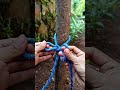 A quick-release knot like this is very popular among professionals🤩 #knot #rope #quickrelease #fyp