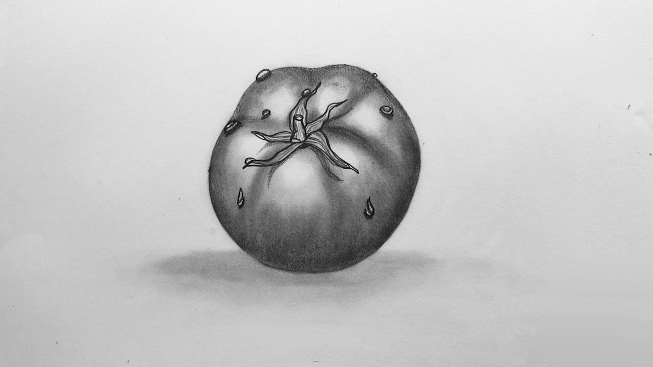 how to sketch tomato youtube how to sketch tomato