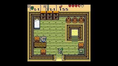 Z-Something! Legend of Zelda: Oracle of Seasons (11)