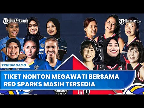 Tiket Nonton Megawati bersama Red Sparks Masih Tersedia Meski Sudah H-1