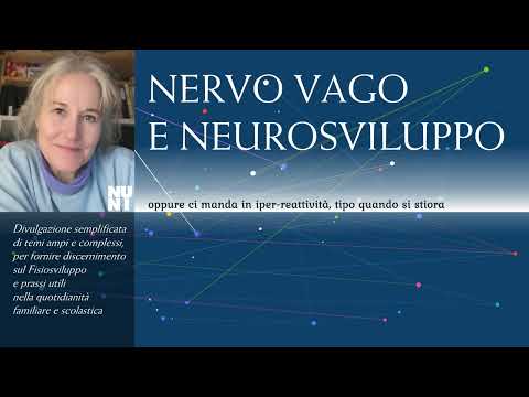 Neurosviluppo e Nervo vago