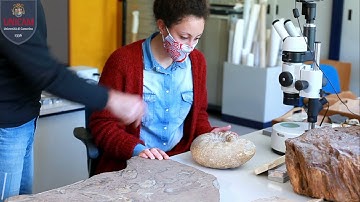 GEOLOGIA UNICAM- Video Corso di Laurea