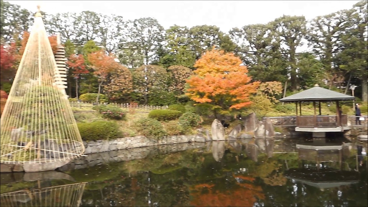 目白庭園の紅葉 Mejiro Garden Autumn Leaves Toshima Ku Tokyo Japan Youtube