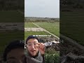 Al final no ha fallado la siembra de abono verde🌱y se vienen cositas para La Granja 😍