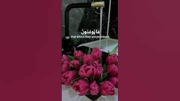 آيات من سورة المؤمنون بصوت القارئ رعد الكردي