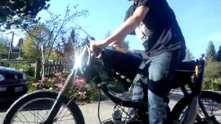 Z50 Airsal Goes Italkit