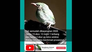 Download Lagu Tetap Putus Asa Jangan Semangat MP3