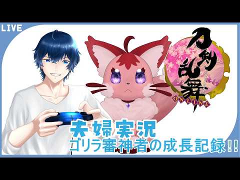 「夫婦実況」頭痛が痛い・・・「初見さん大歓迎」ゴリラなり立て審神者の刀剣乱舞！その332