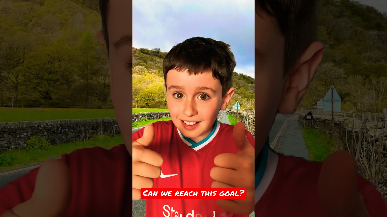 Can We Reach This Goal? 