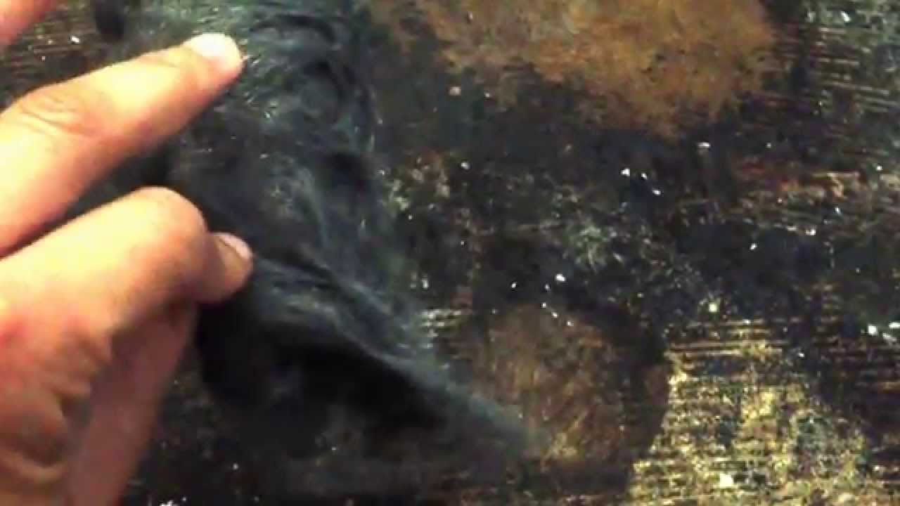 Real Milk Paint Citrus Solventsremoving old glue tile adhesive