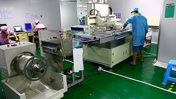 Silk Screen Printing Machine Automatic Roll to Roll CCD Alignment Screen Printing Press For PET