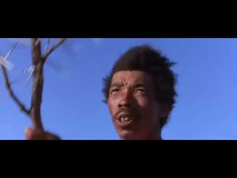 სირაქლემა