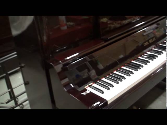 カール・ザイラーピアノ完成！！ pianoya.com - YouTube