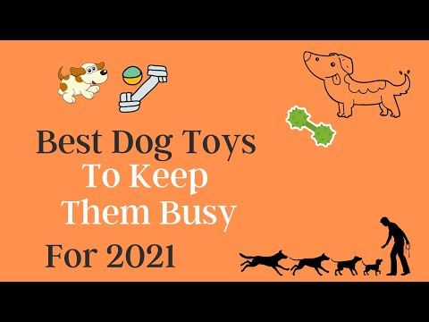 Presenting the six Dog Toys, Best dog Toys to Keep Them Busy, You Must Have &amp; INSANE Pet Toys