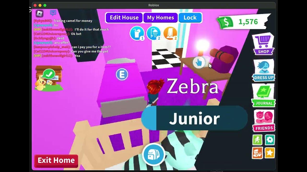 Time to go to school! And What Should I Name My Zebra!? Quick Sesh with