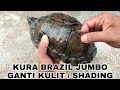 Eps 23 • TIPS BANTU KURA BRAZIL / RES GANTI KULIT (SHADING)