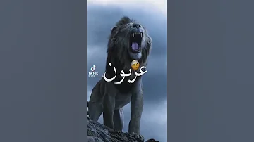 كل قل الجاي سواد 