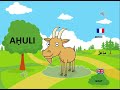 Ighersiwen uxxam  animaux domestiques apprendre tamazight  apprendre le kabyle pour les enfants