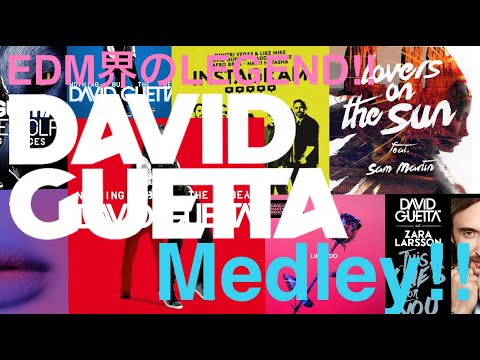 EDM レコードまとめ売り2枚セットdavidguetta デヴィッドゲッタ