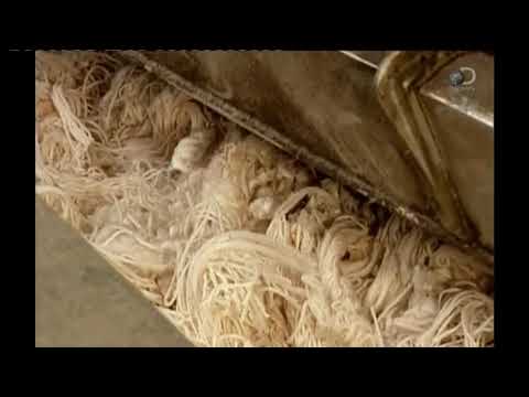 Шерстяная ткань - Из чего это сделано. Discovery channel