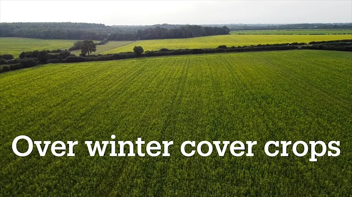 BenAdamsAgri - Establishing over winter cover crops before spring crops