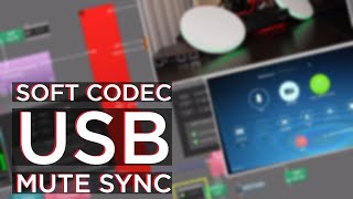 Mute Synchronization With Soft Codecs and Tesira EX-UBT screenshot 2