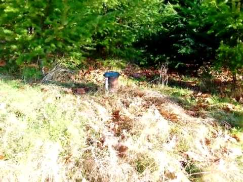 230-20 Koons Road, Mossyrock, WA home video tour