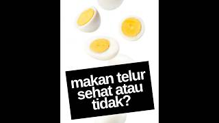 Download Lagu Ini Cara Makan Telur Yang Benar! MP3