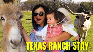 We found our favorite Harvest Host in Texas (RV Life USA)