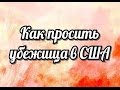 🗽 Как просить убежища в США: основания, сроки, нюансы ✔ YouTube США Сан Диего