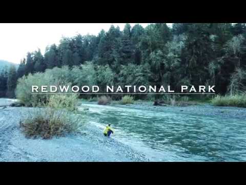 The Best of Redwood National Park