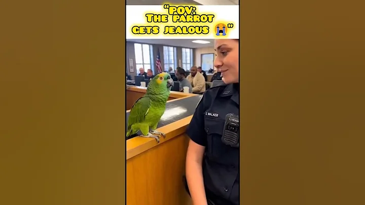 This Parrot Refuses to Be the Third Wheel 😂🦜#shorts #savagebird #comedyshorts