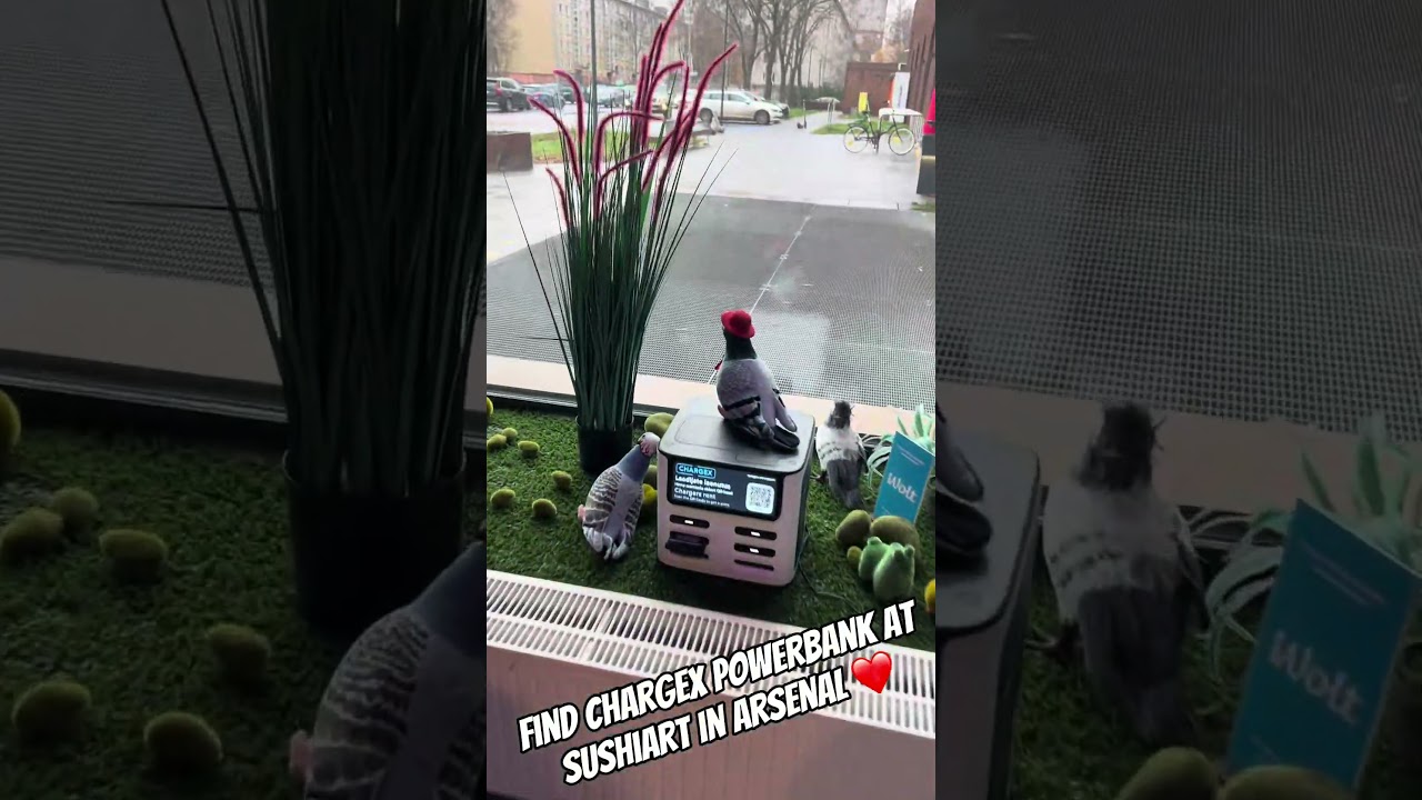 Find chargex.ee powerbank at SushiArt in Arsenal, Tallinn!  