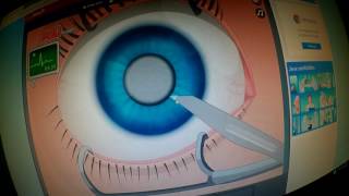 jeux d'hopital sur jeux.fr screenshot 2