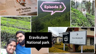 Ep-5 || Munnar site seeing, Tea museum || Eravikulam National park Munnar ||Vlog no- 118 screenshot 5