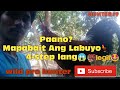 Tutorial Kung Paano mapabait Ang sobrang ilap n labuyo🐓 4 step lng mabait na😱💯 legit #Part1