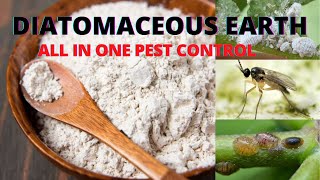 Magic Pest Control for houseplants and garden - Organic