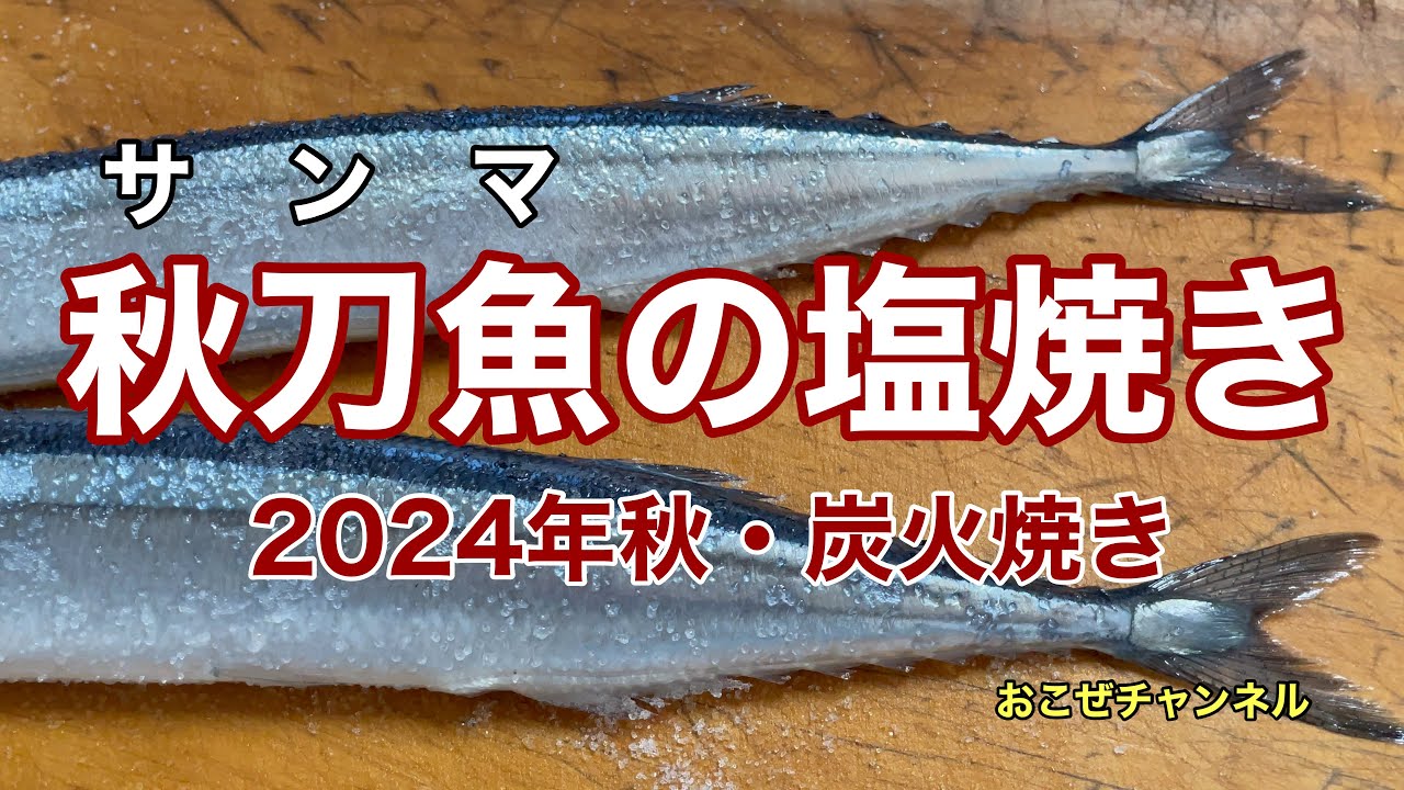 Grilled salted saury (Autumn 2024, charcoal grilled) - YouTube
