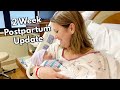 POSTPARTUM UPDATE | SURROGACY