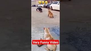 Human Vs Dog Funny Video #Funny Video #Shorts #Viralvideo #Foryou