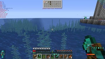 Pvp meta on the youngest cracked semi-anarchy smp in Minecraft (Optimumanarchy.org)
